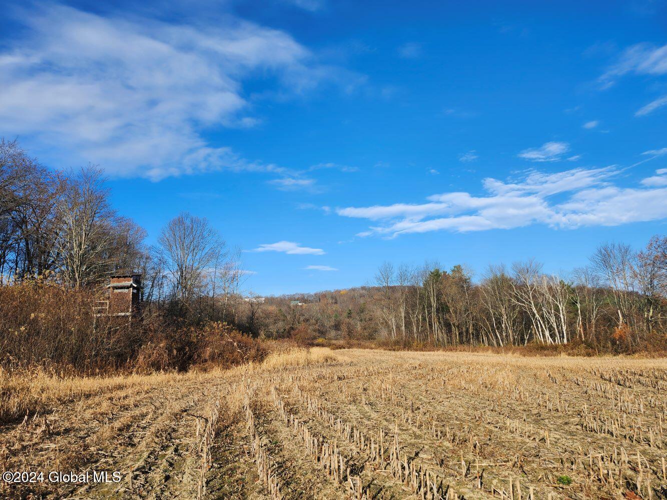 L1 Markers Road, Hoosick Falls, New York image 6