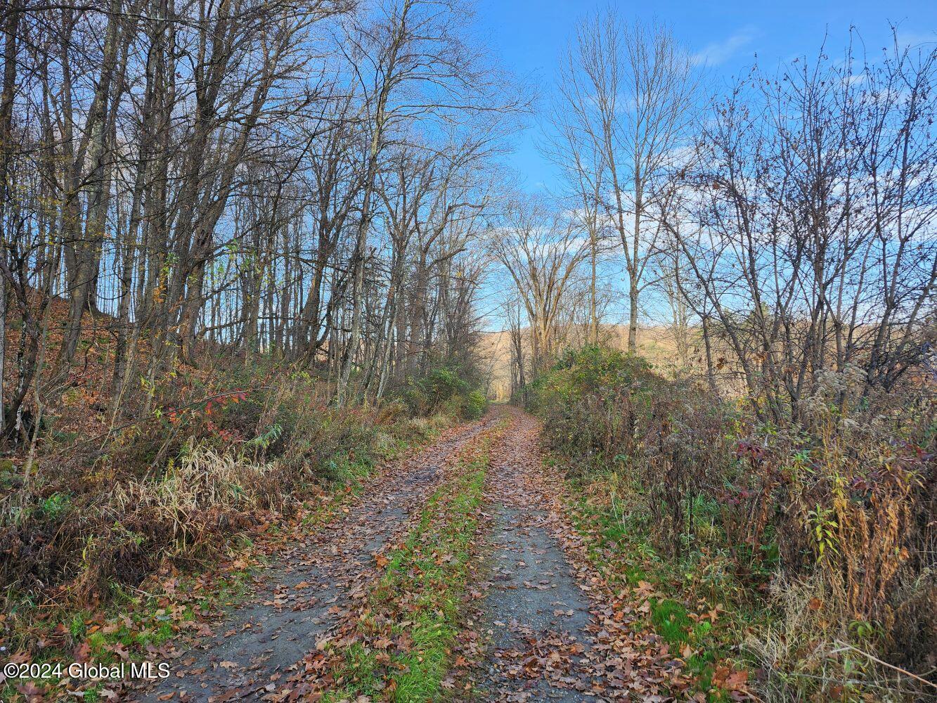 L1 Markers Road, Hoosick Falls, New York image 5