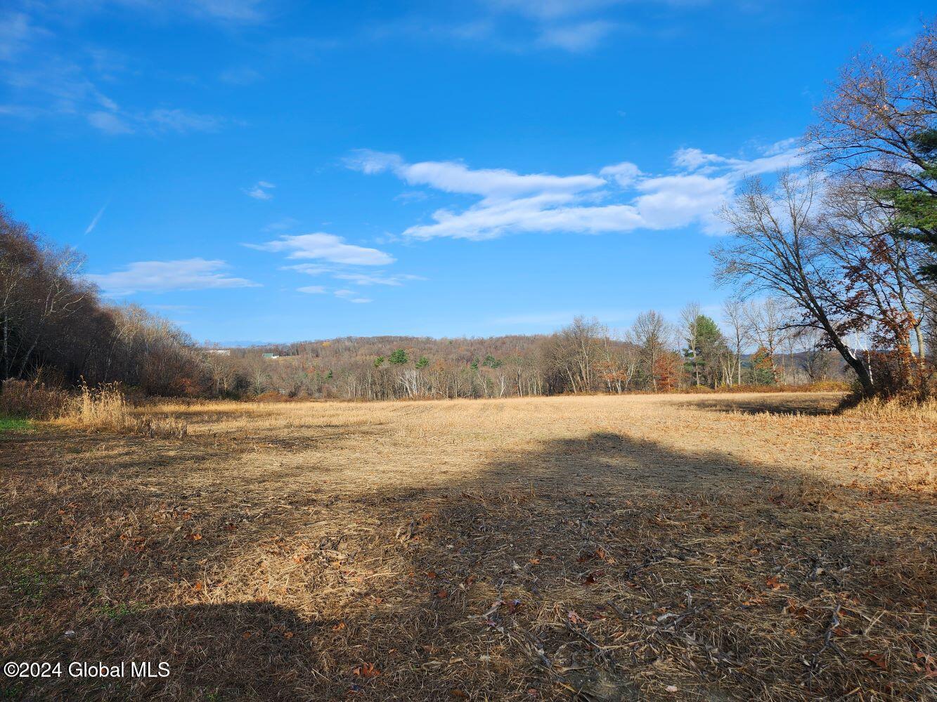 L1 Markers Road, Hoosick Falls, New York image 8