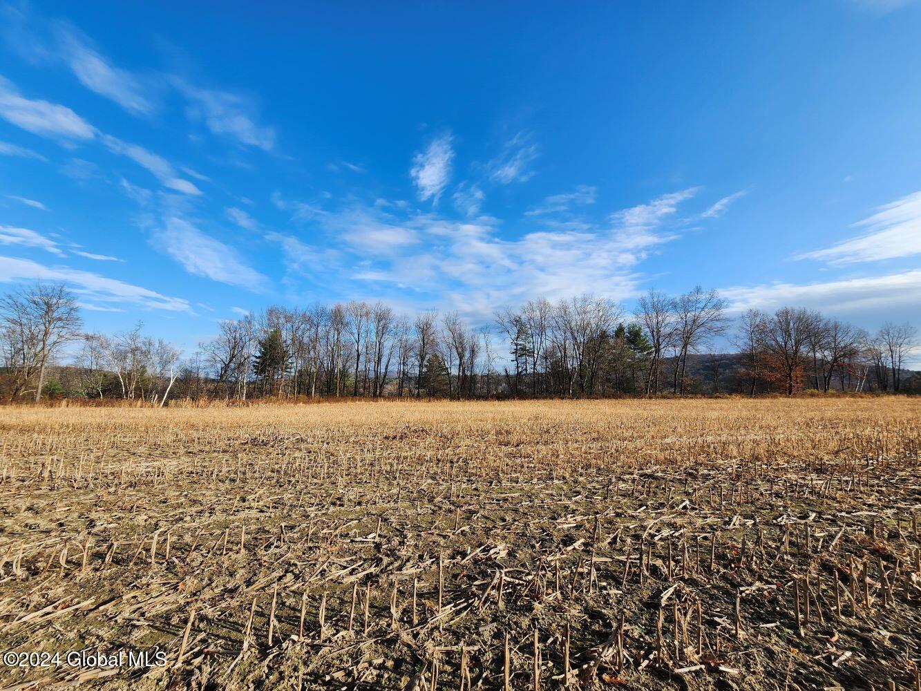 L1 Markers Road, Hoosick Falls, New York image 7