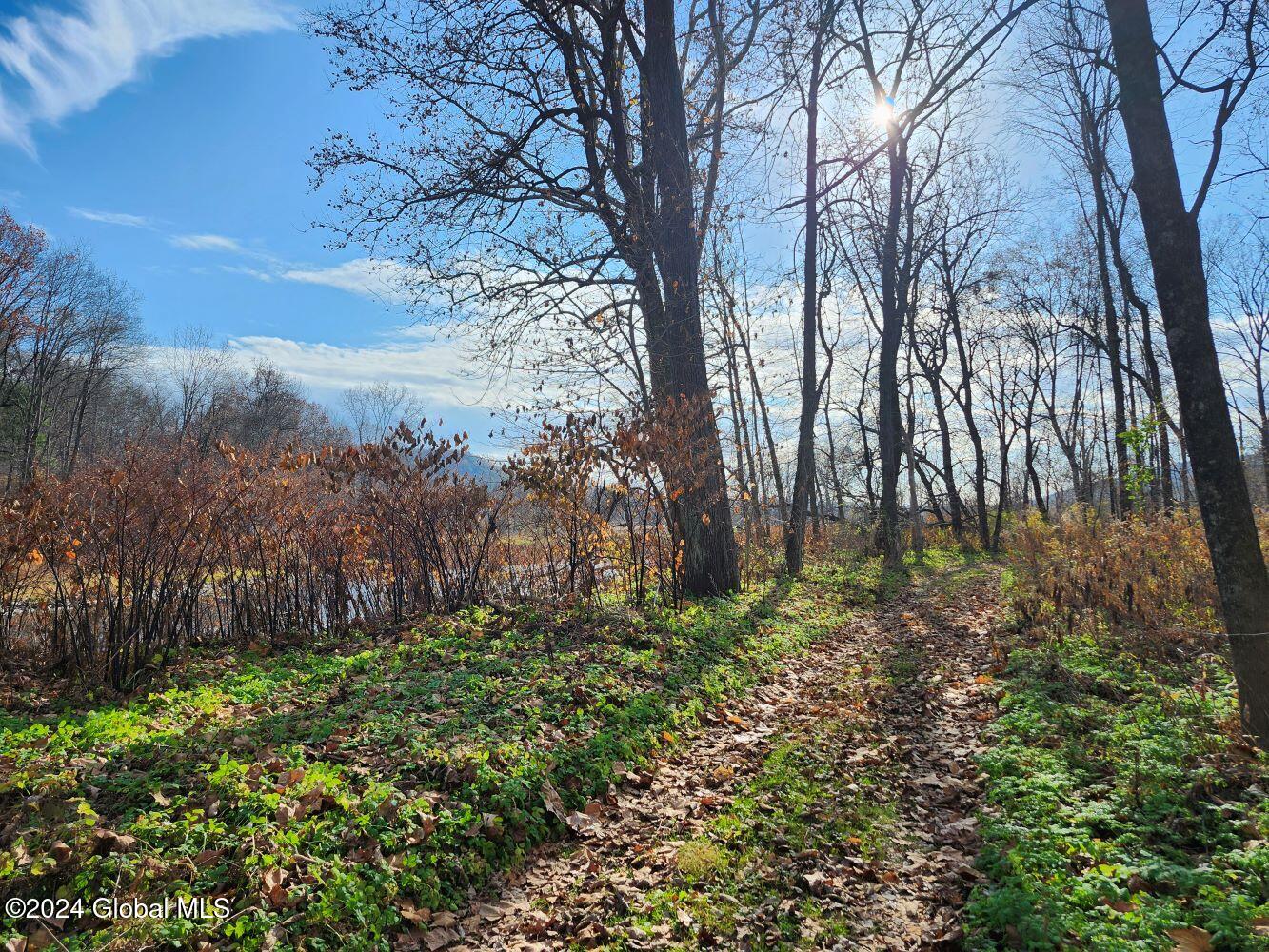 L1 Markers Road, Hoosick Falls, New York image 30