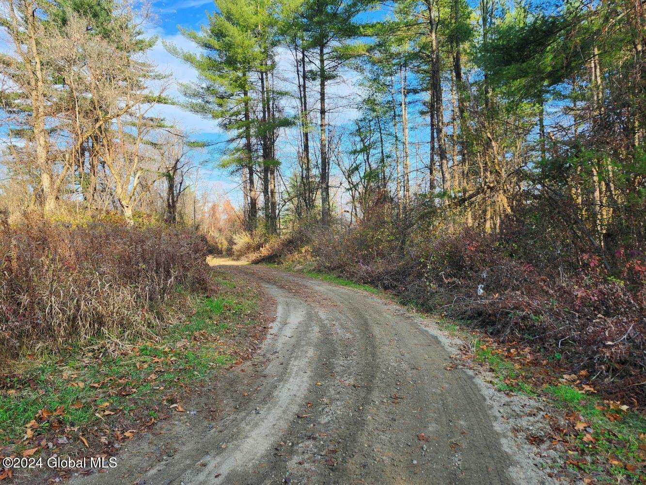 L1 Markers Road, Hoosick Falls, New York image 14