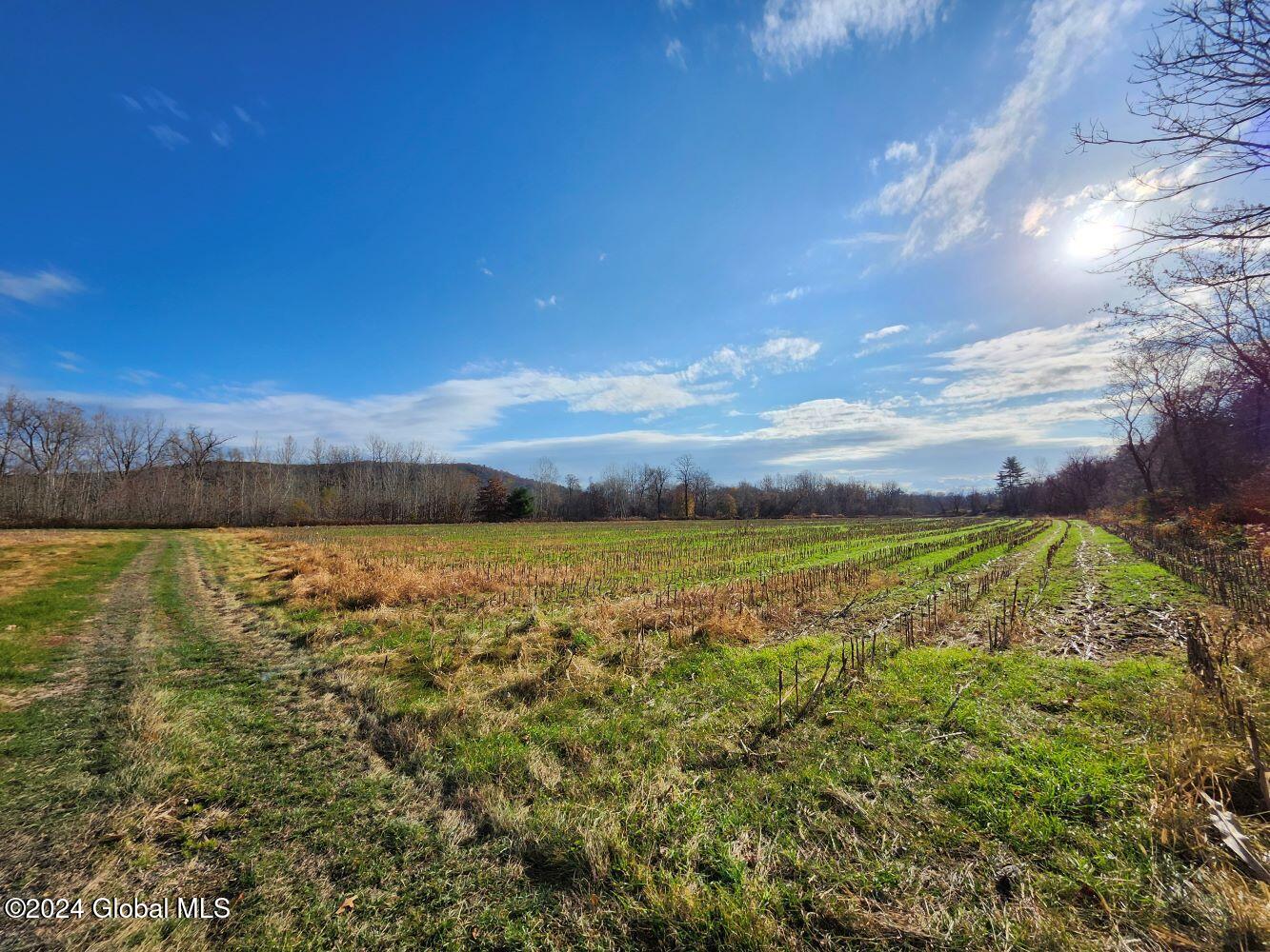 L1 Markers Road, Hoosick Falls, New York image 18