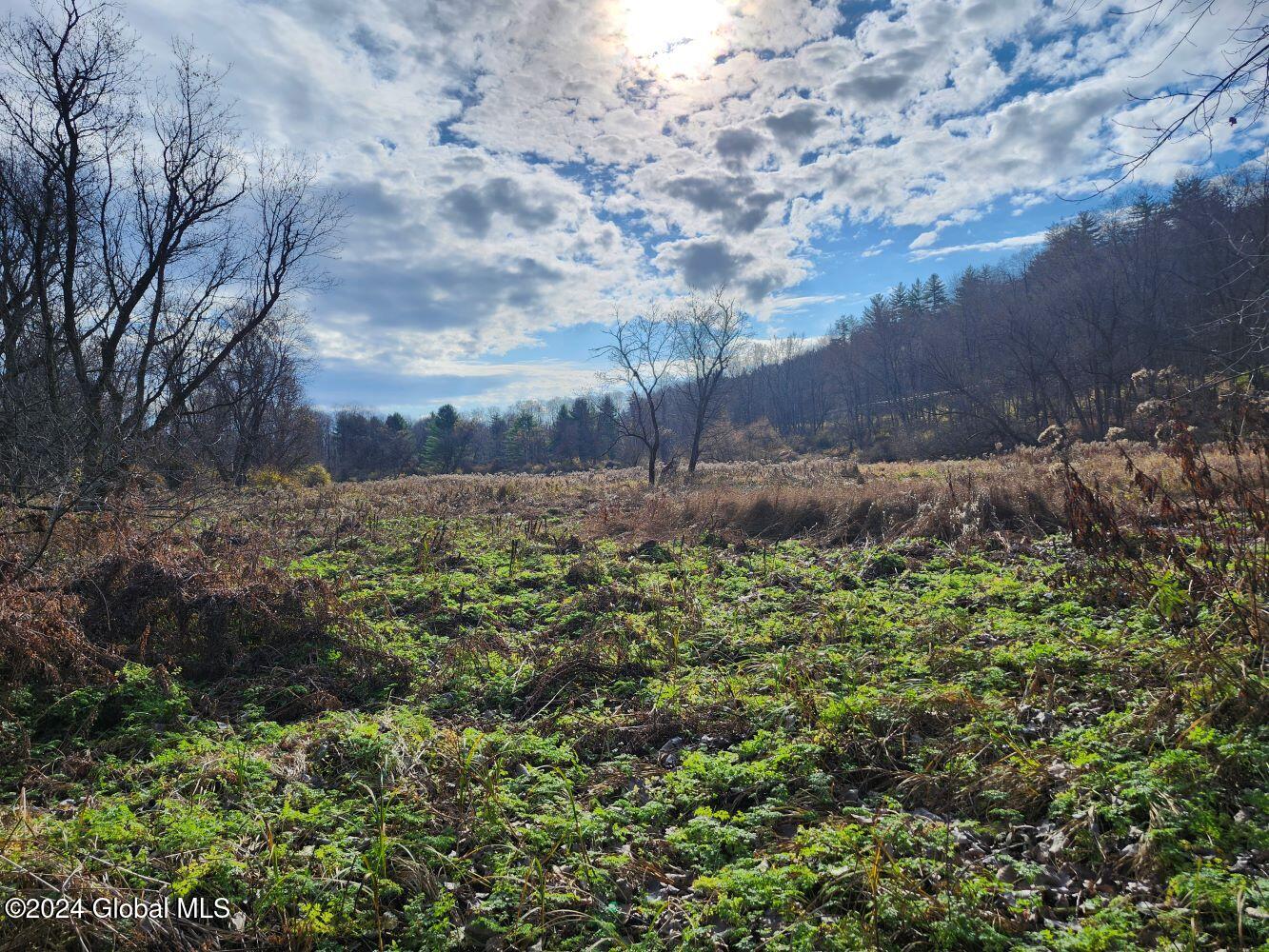 L1 Markers Road, Hoosick Falls, New York image 41