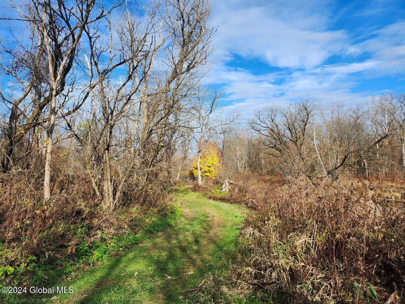 L1 Markers Road, Hoosick Falls, New York image 36