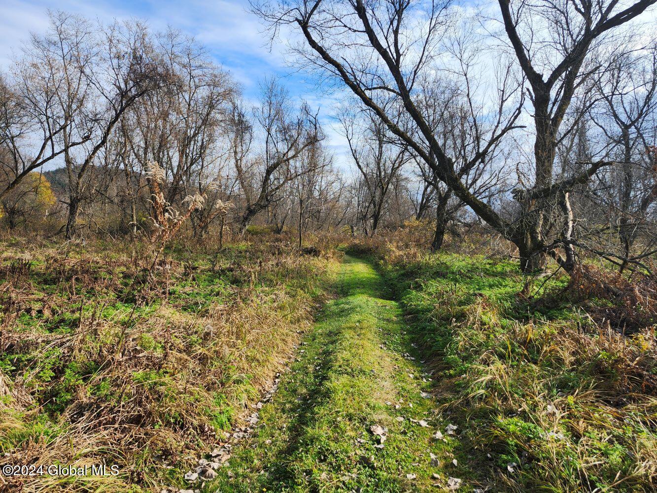 L1 Markers Road, Hoosick Falls, New York image 42