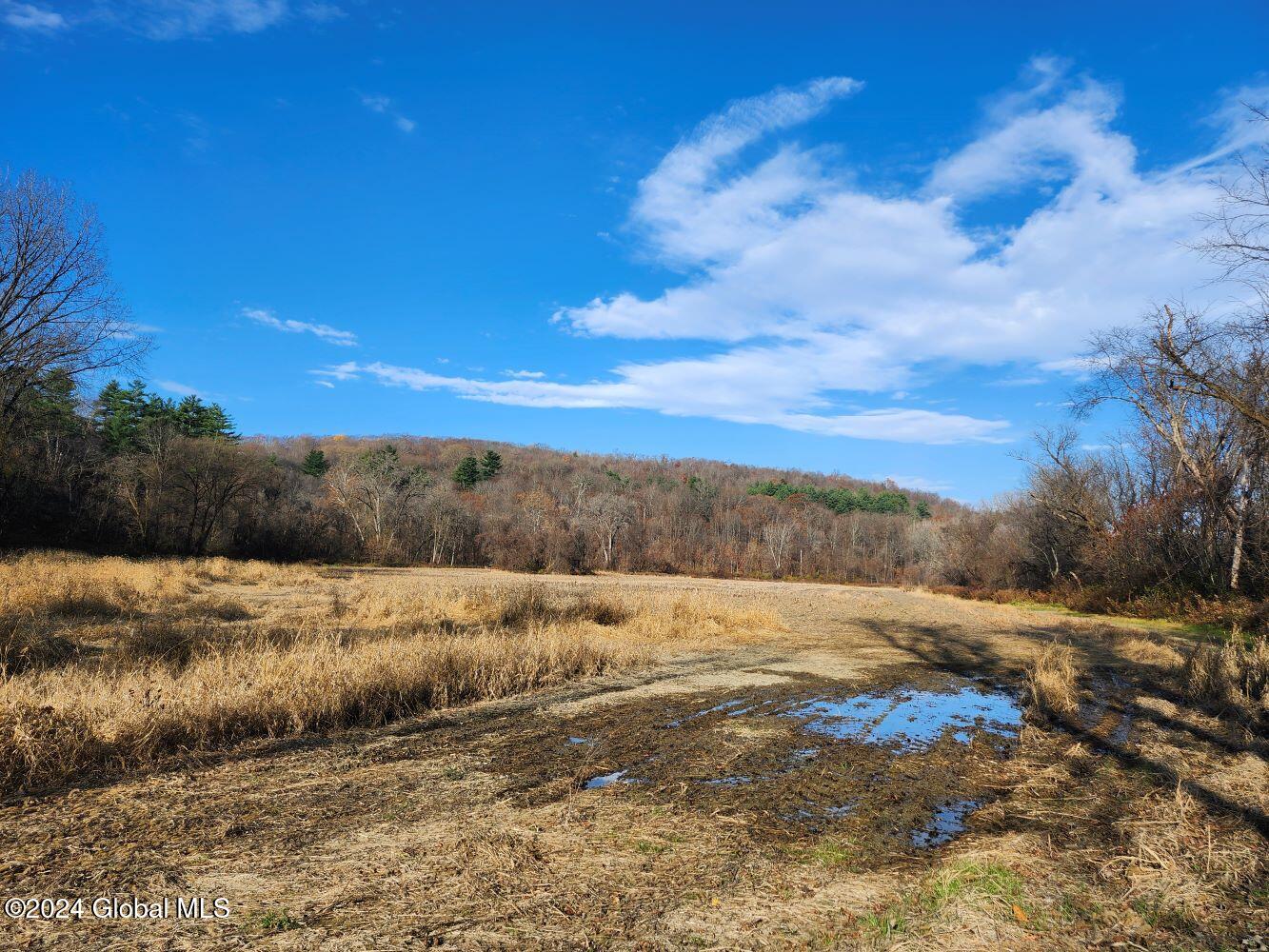 L1 Markers Road, Hoosick Falls, New York image 15