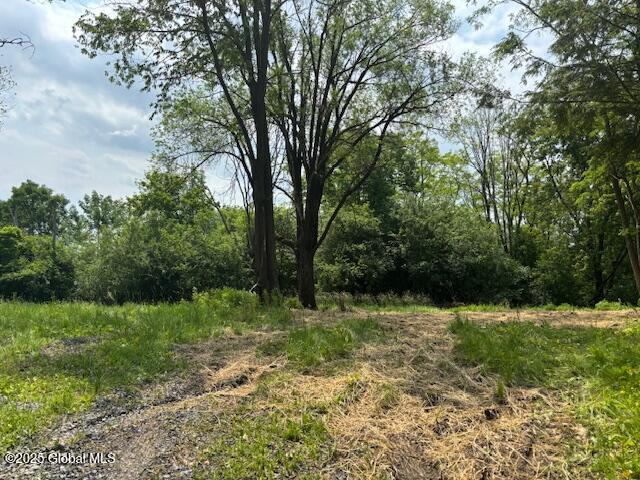 1741 Scotch Ridge Road