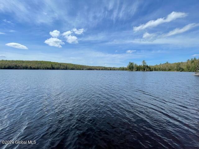 L21 Lake Snow Road, Indian Lake, New York image 10