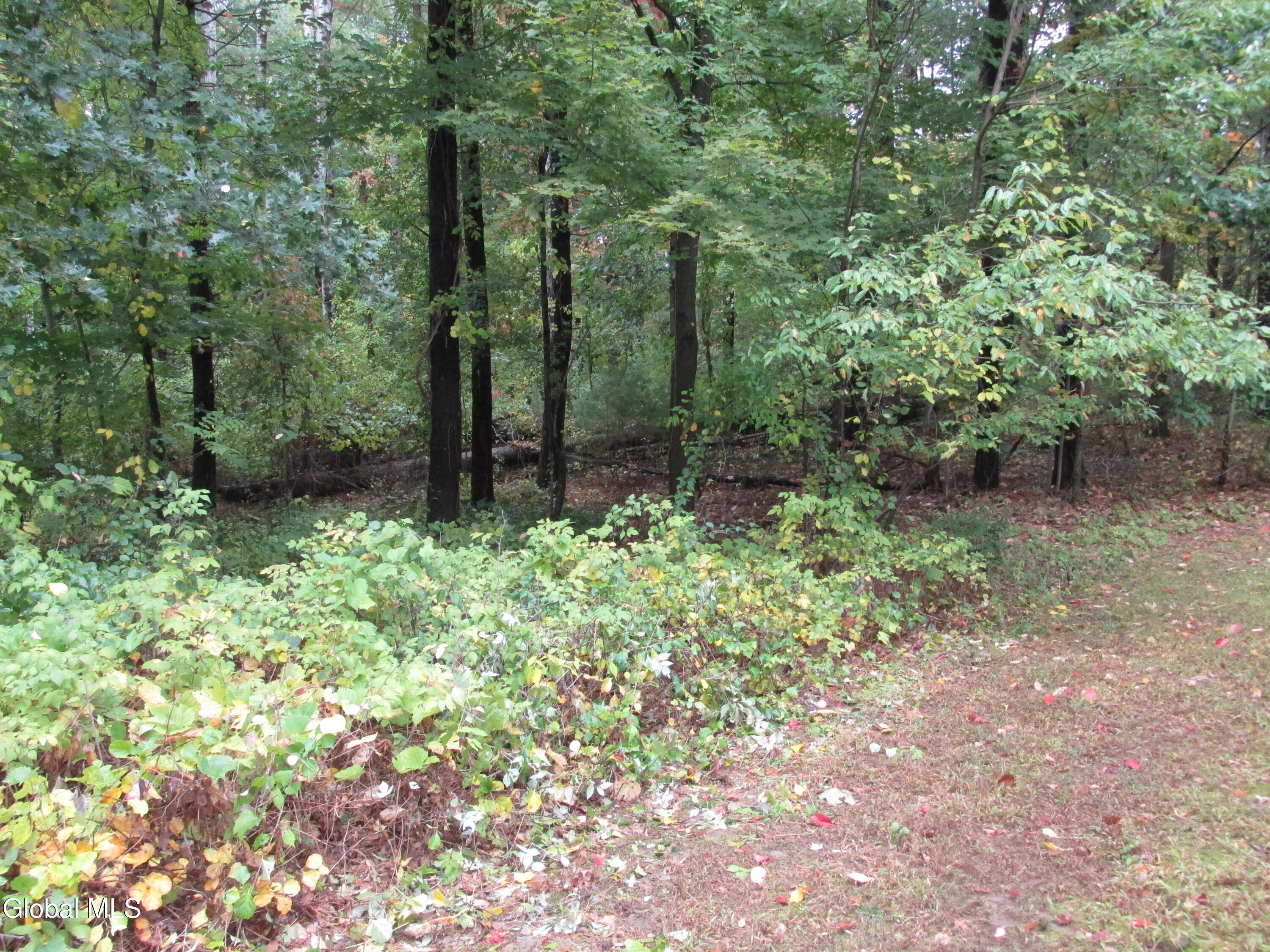 Ballston Lake, New York 12019, United States, 4 Bedrooms Bedrooms, ,3 BathroomsBathrooms,Residential,Active,218402