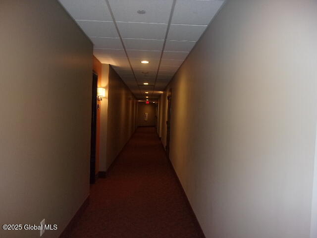 17 Chapel Street #303, Albany, New York image 20
