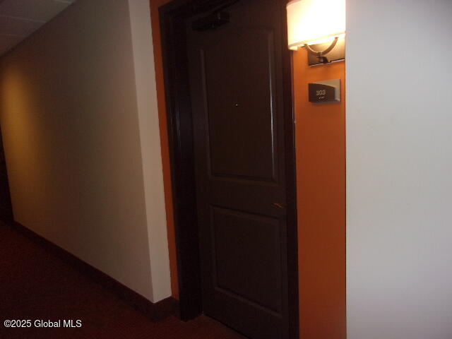 17 Chapel Street #303, Albany, New York image 22