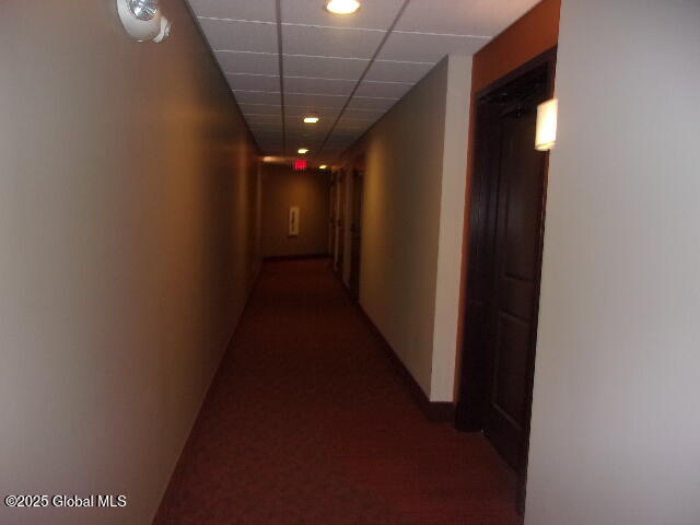 17 Chapel Street #303, Albany, New York image 21