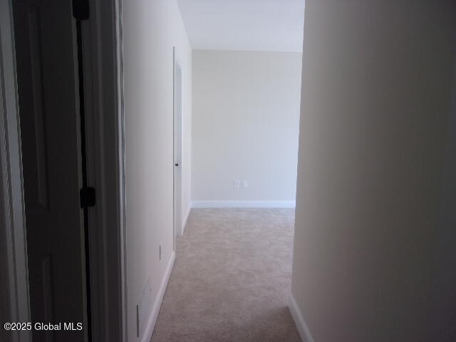 17 Chapel Street #303, Albany, New York image 50