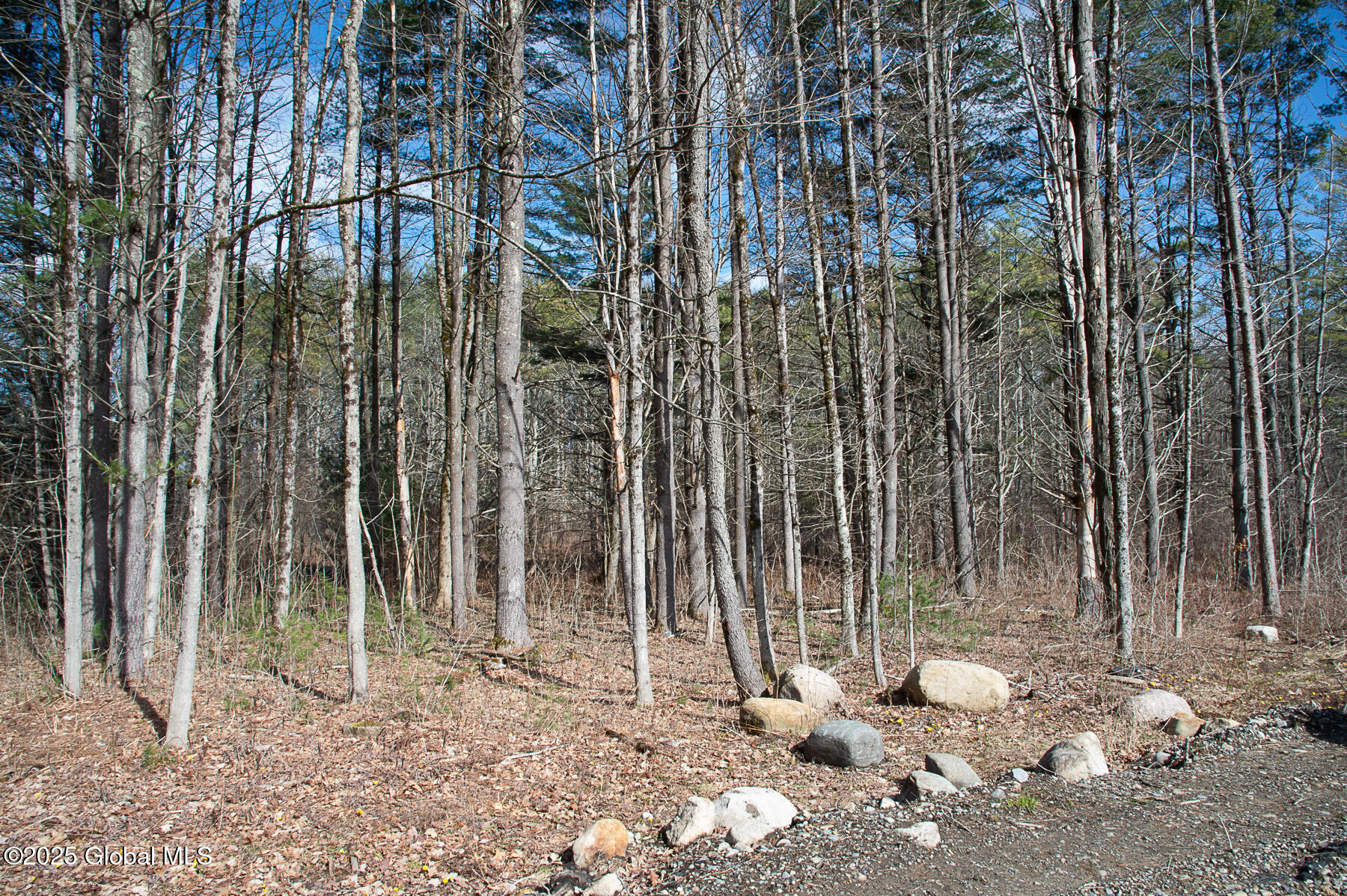 386 Griffis Road, Gloversville, New York image 35