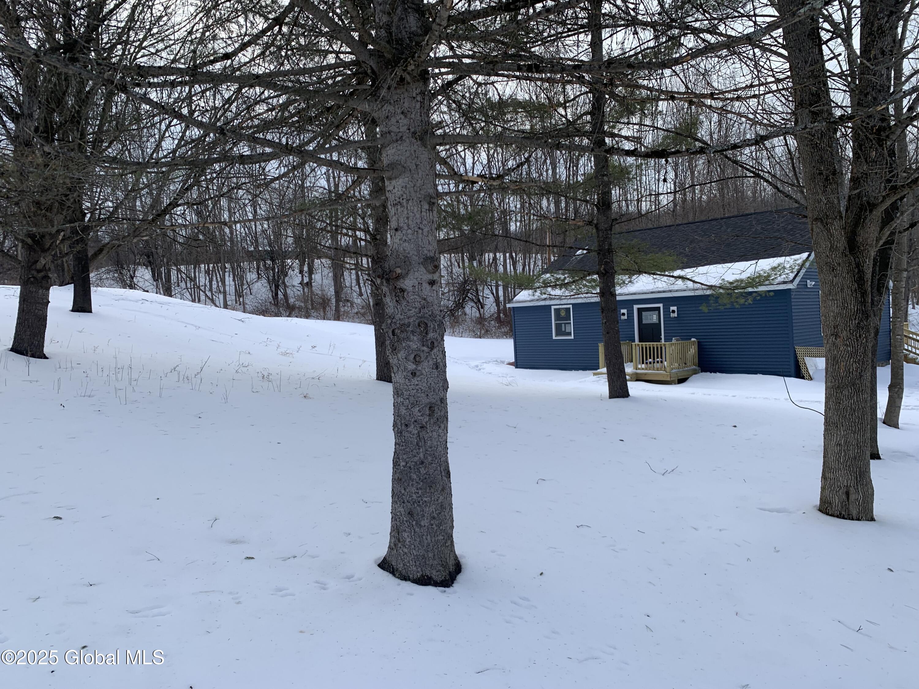 135 Priddle Road, Esperance, New York image 1