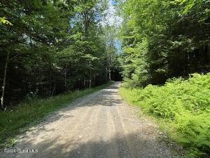 L1.1 Davignon Road, Corinth, New York image 7