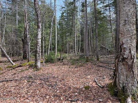 Vacant Land For Sale - L34.1 Youngs Road #1<br/> Essex County, Schroon Lake, NY 12870