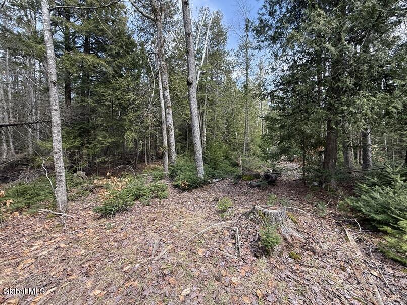 L34.1 Youngs Road #1