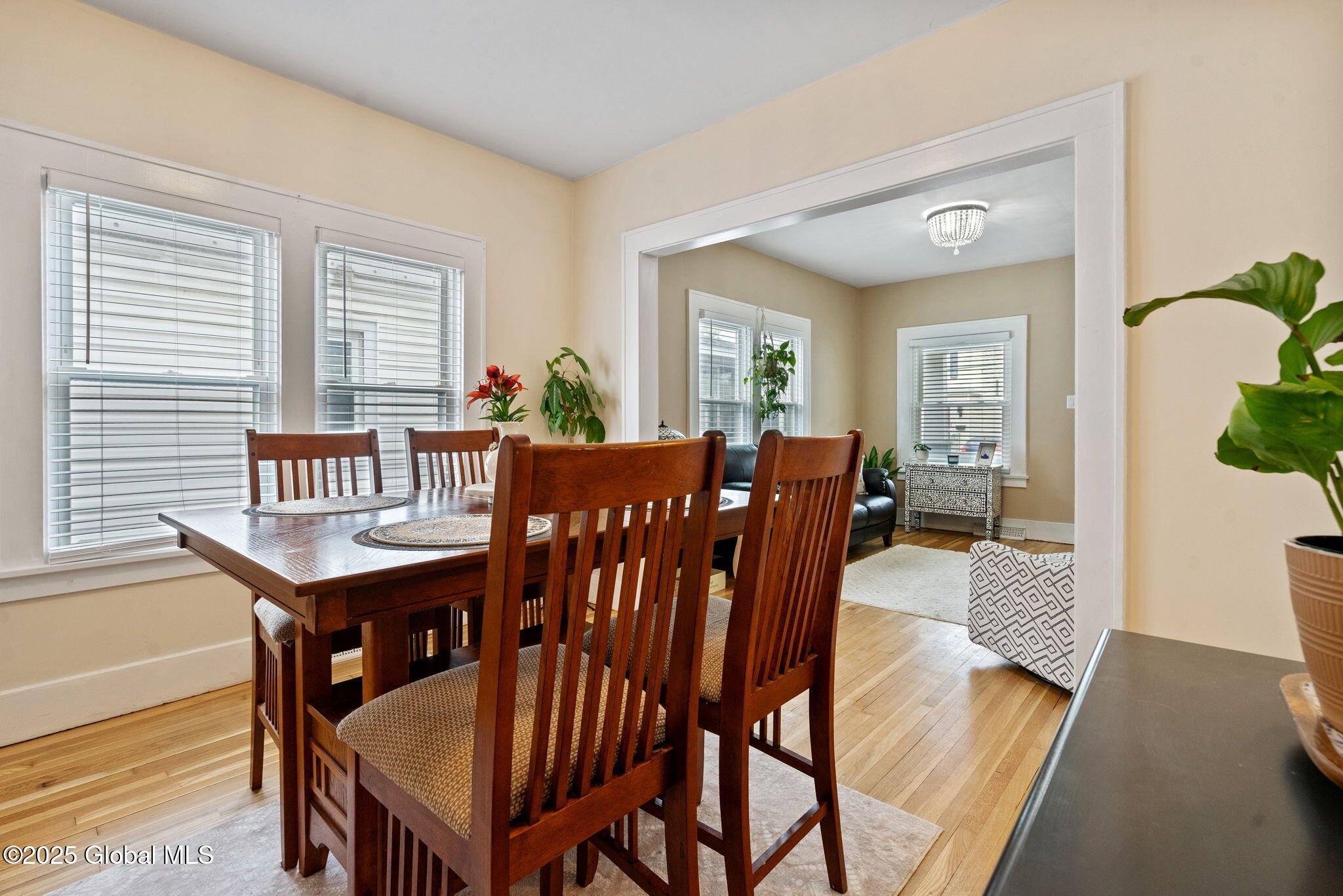 313 5th Street, Scotia, New York image 19