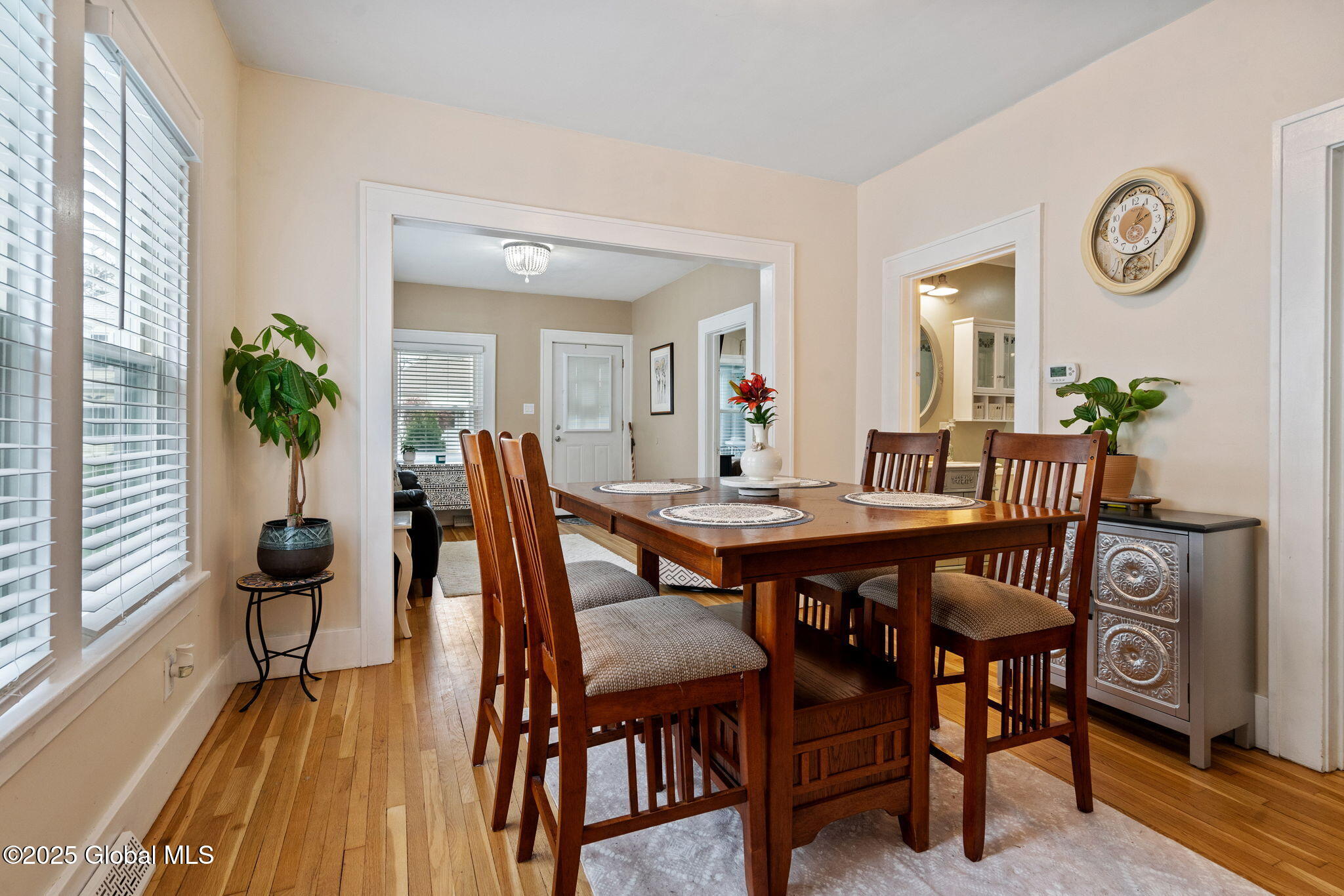 313 5th Street, Scotia, New York image 18