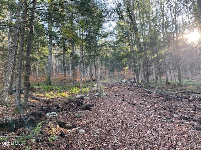 L24.1 Crane Pond Road