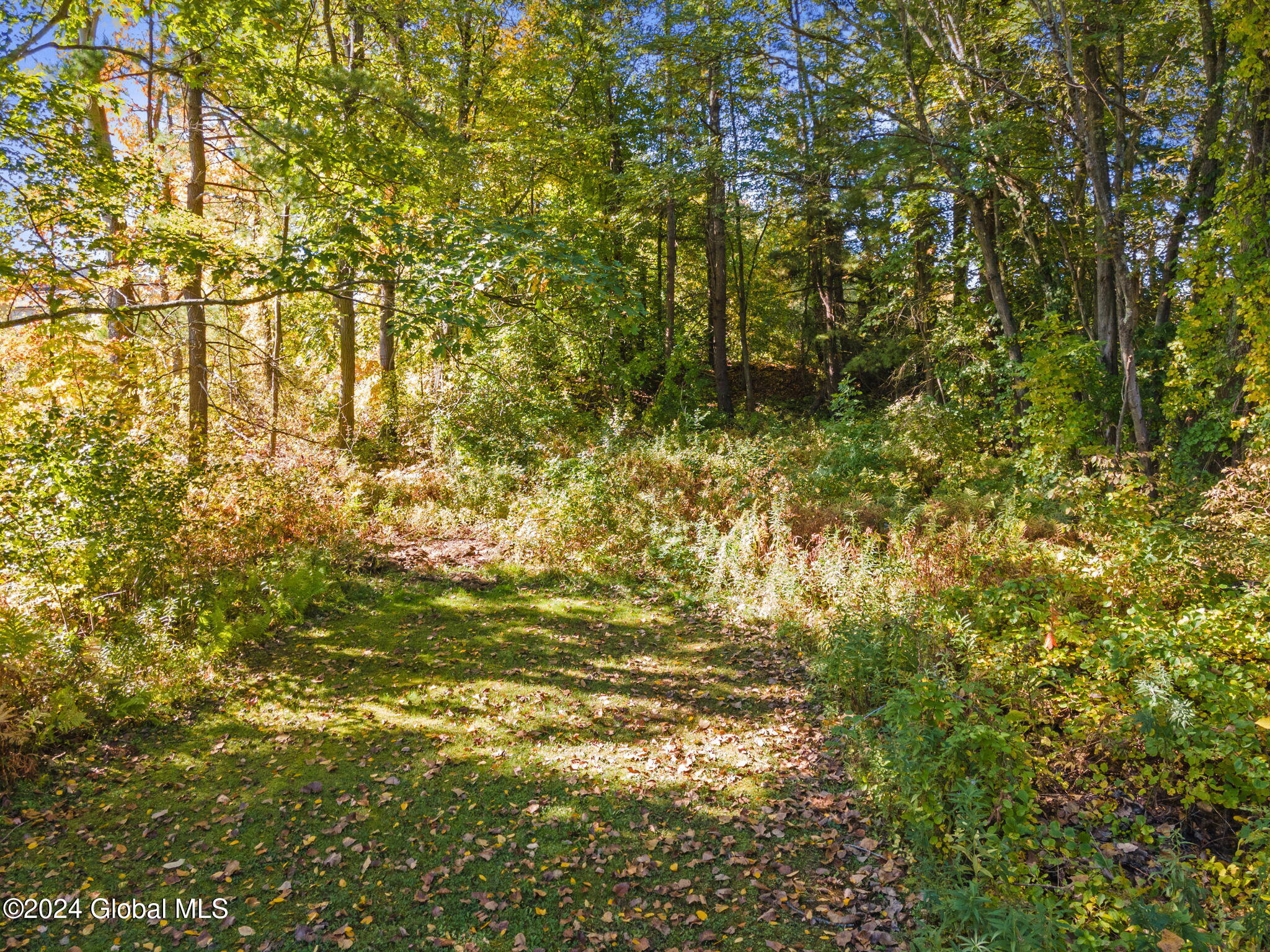 5220 Western Turnpike, Altamont, New York image 34