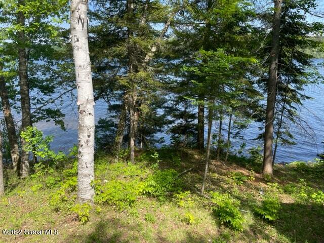 5528 Ny-30, Indian Lake, New York image 50