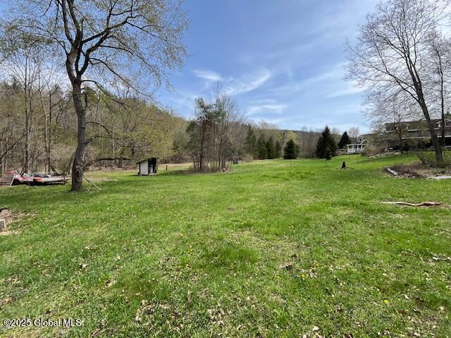 664 Gifford Hollow Road, Berne, New York image 8