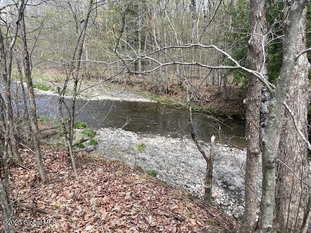 664 Gifford Hollow Road, Berne, New York image 18