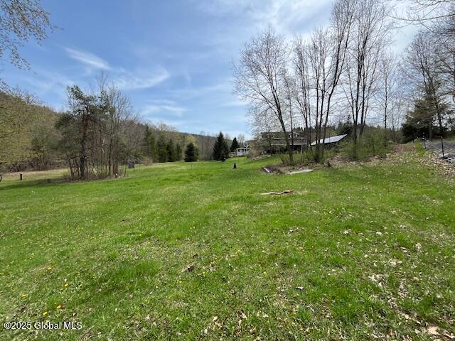 664 Gifford Hollow Road, Berne, New York image 5