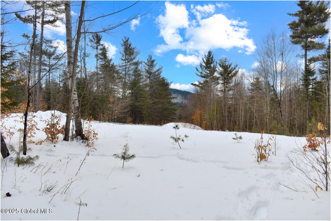 L87 Highview Lane #LOT 3, Wevertown, New York image 2