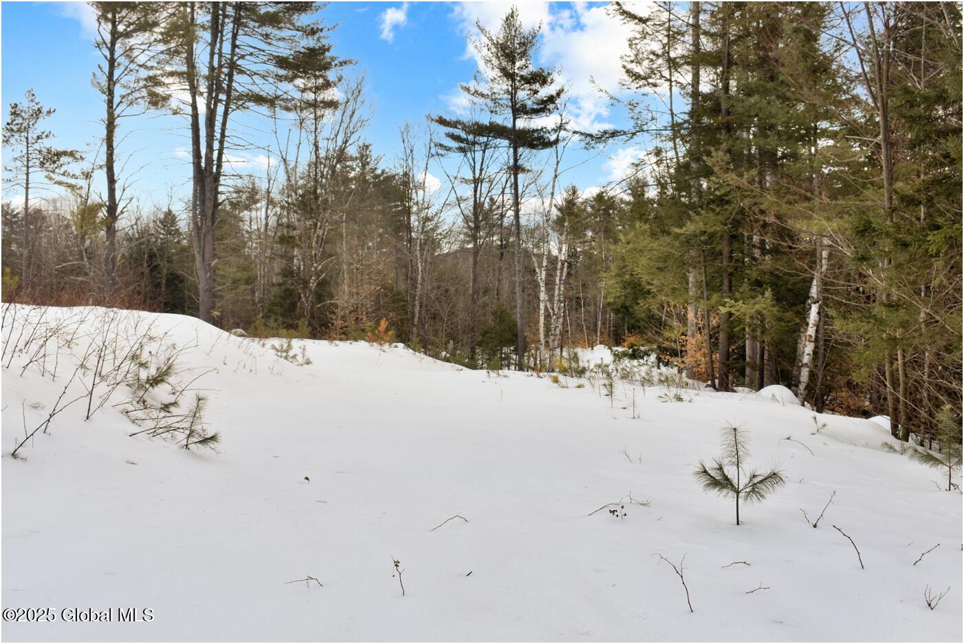L87 Highview Lane #LOT 3, Wevertown, New York image 12