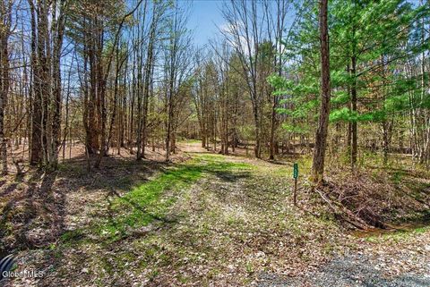 Photo of 155 Thistle Hill Road, Petersburgh, NY 12138 (MLS # 202615864)