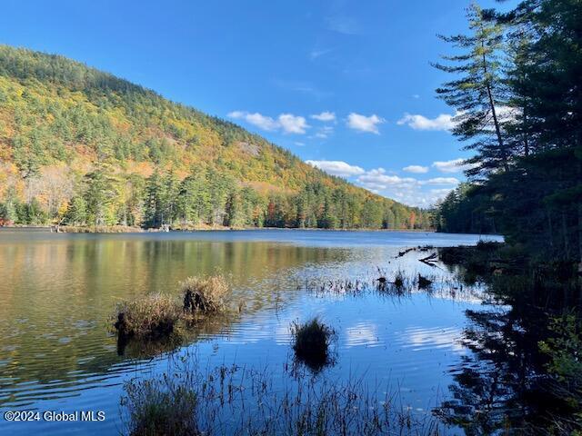 66 Mountain Path, North Creek, New York image 6