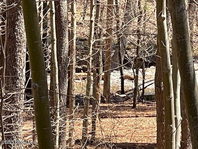 1158 Hearts Content Road, Round Top, New York image 4