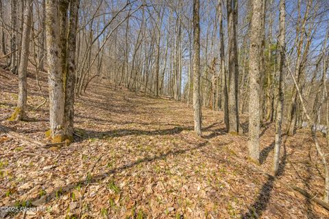 Vacant Land For Sale - L9.114 Lutheranville Road<br/> East Worcester, NY 12175
