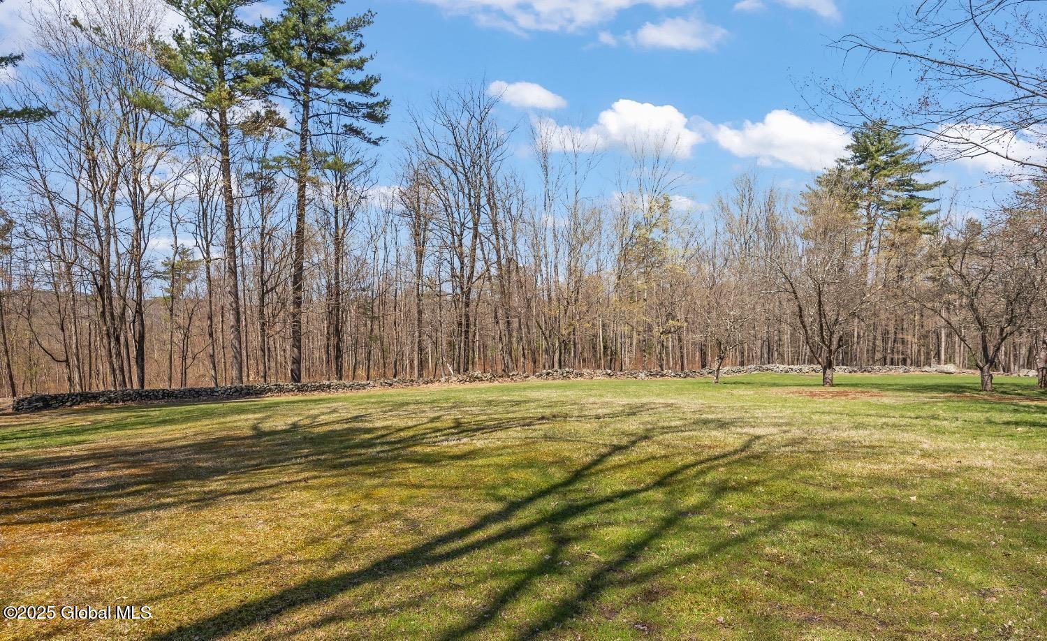 84 Hill Road, East Nassau, New York image 17