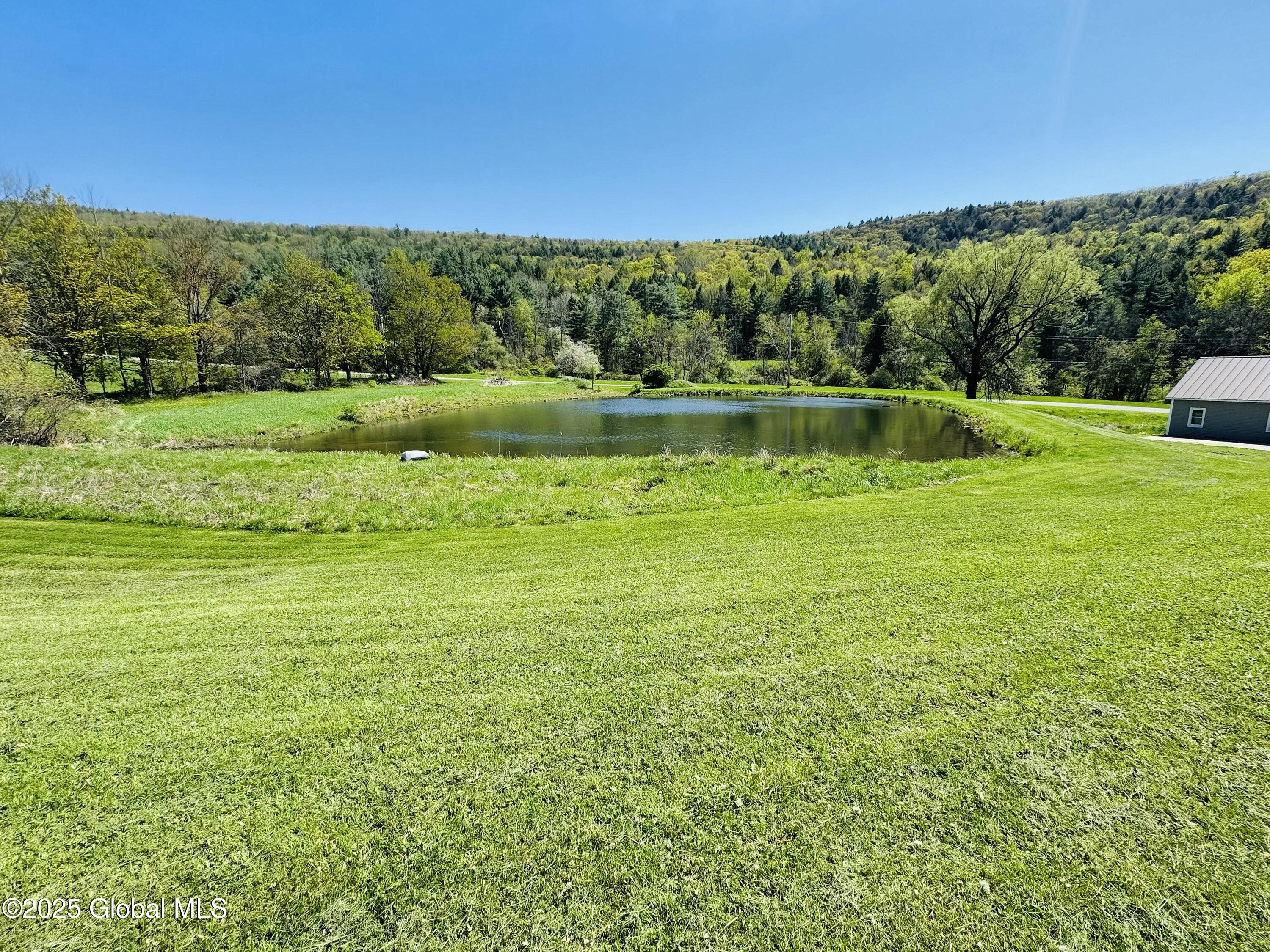 209 Engle Road, Schoharie, New York image 38