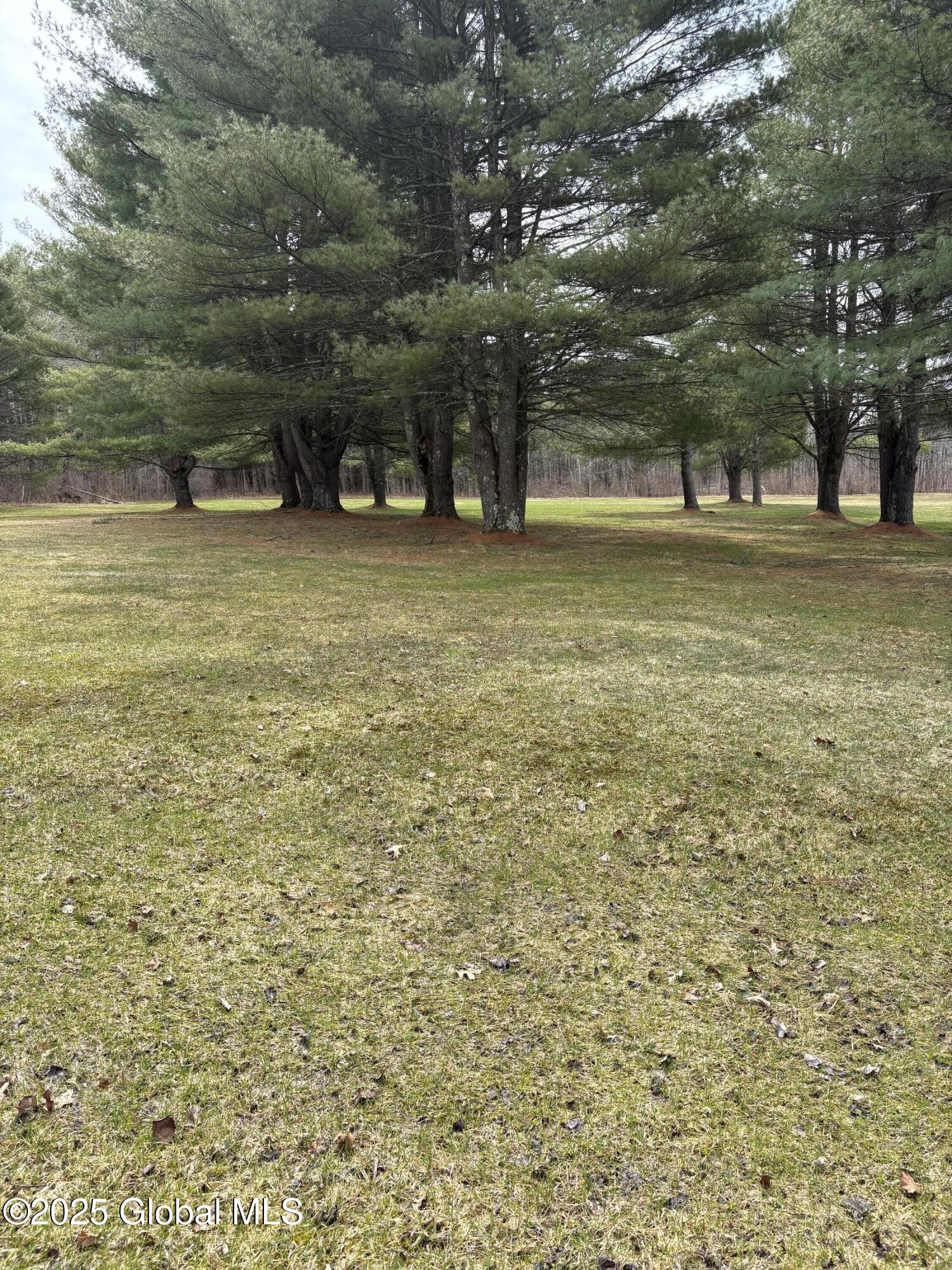 623 Midline Road, Amsterdam, New York image 8