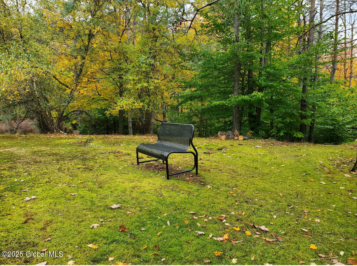 Lot 3 3 Drager Road, Galway, New York image 4