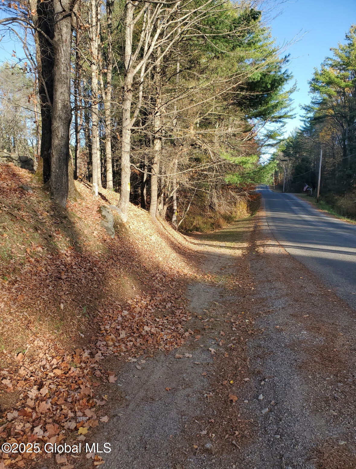 Lot 3 3 Drager Road, Galway, New York image 6