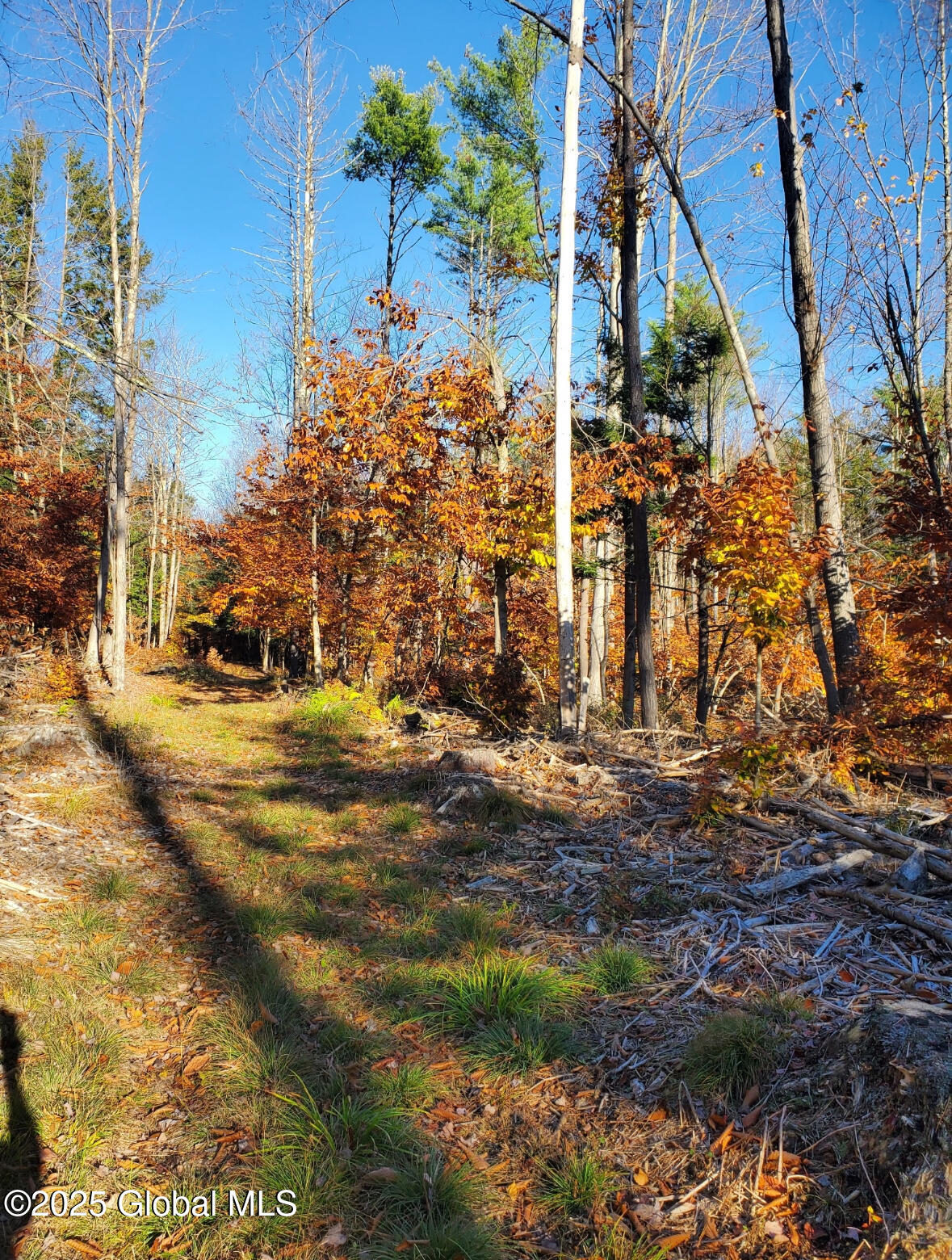 Lot 3 3 Drager Road, Galway, New York image 5