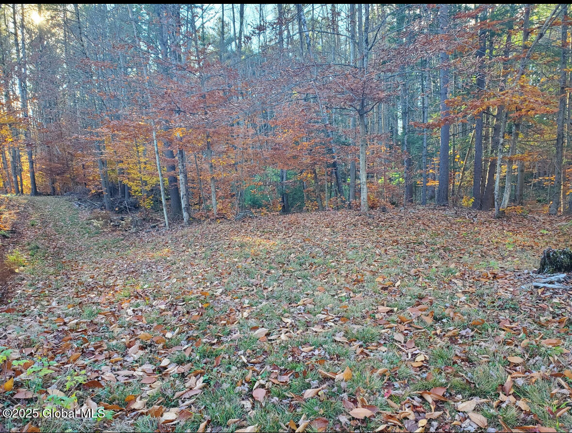 Lot 3 3 Drager Road, Galway, New York image 7