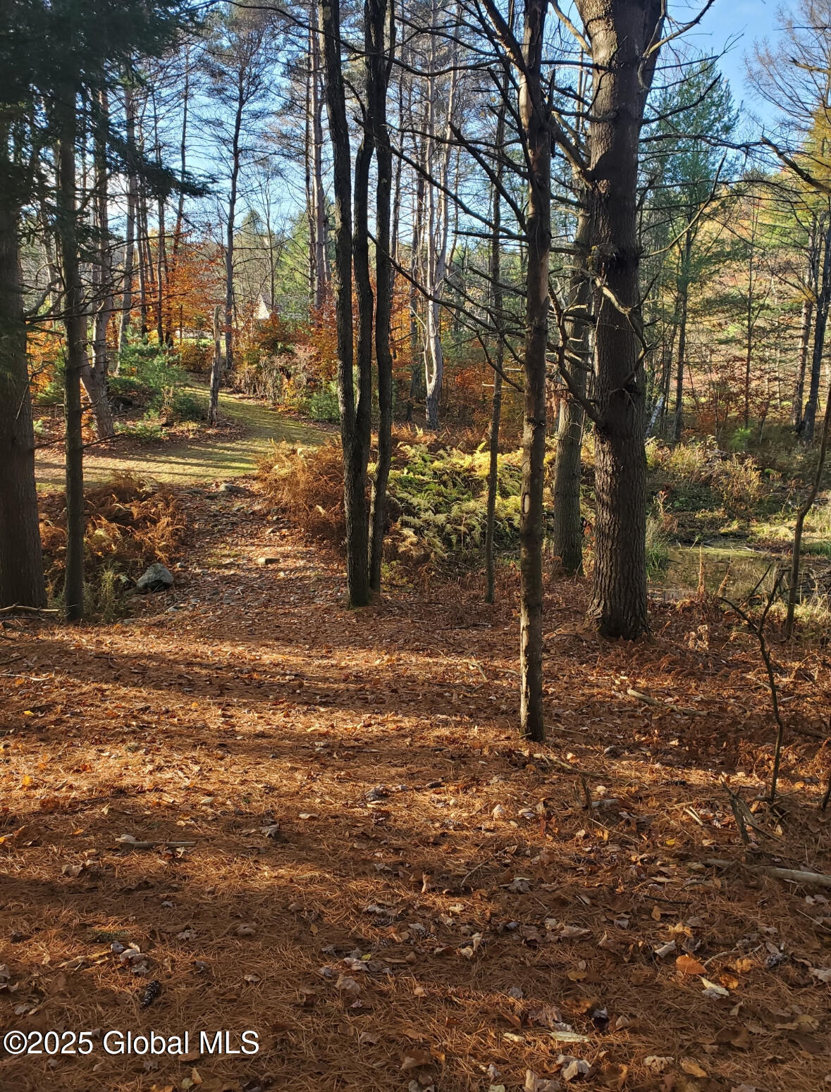 Lot 3 3 Drager Road, Galway, New York image 8