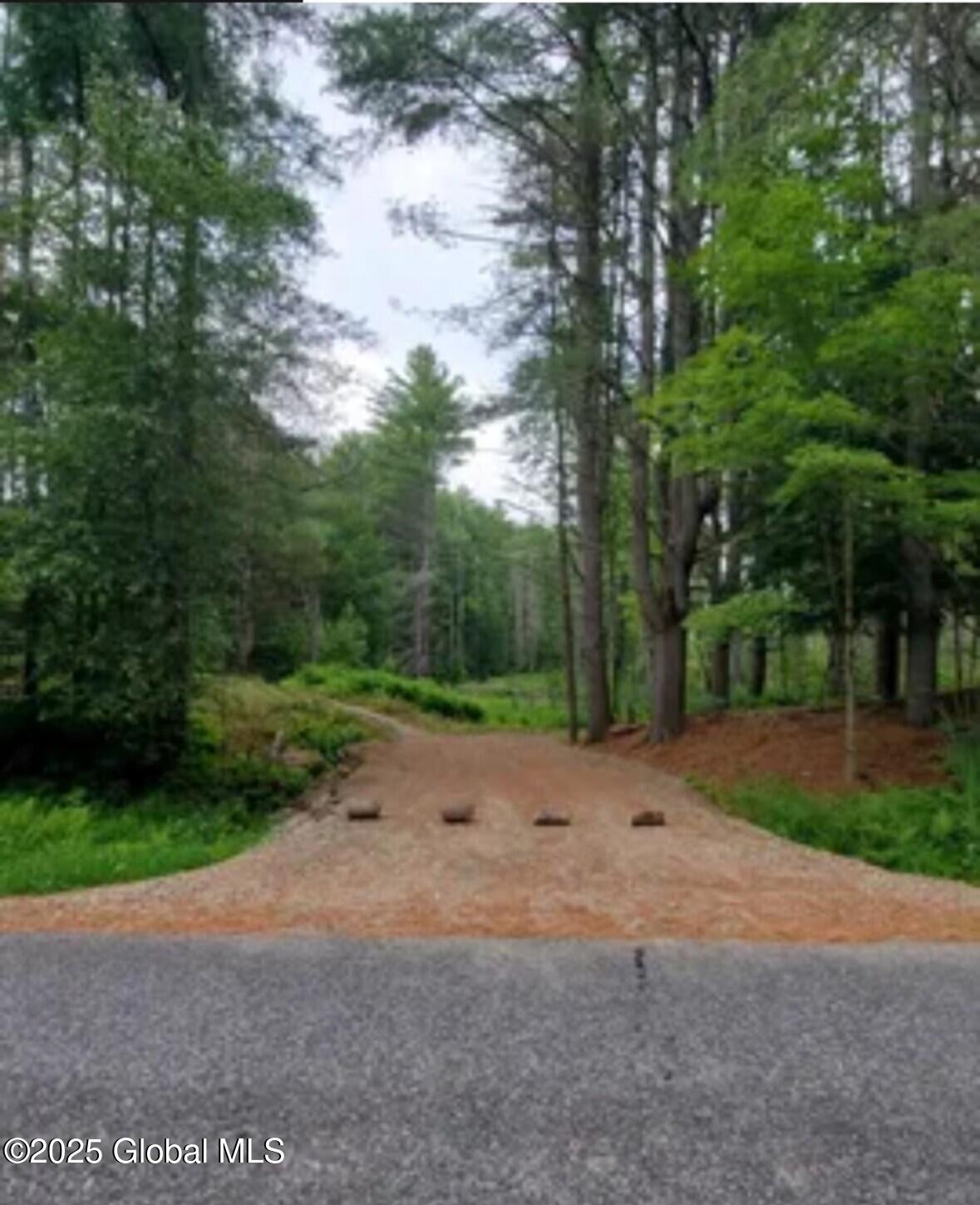 Lot 3 3 Drager Road, Galway, New York image 1