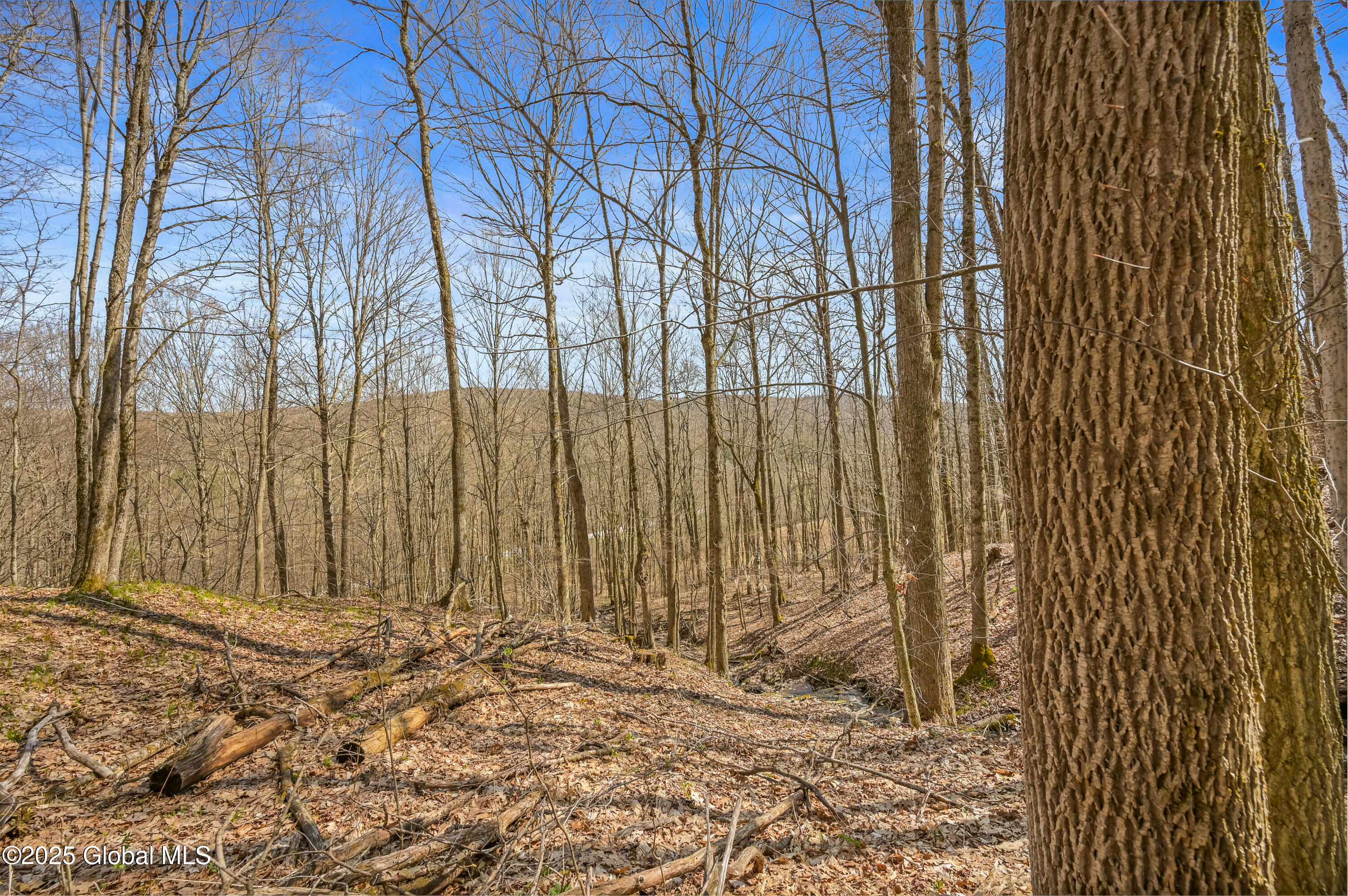 L9.113 Lutheranville Road, East Worcester, New York image 6
