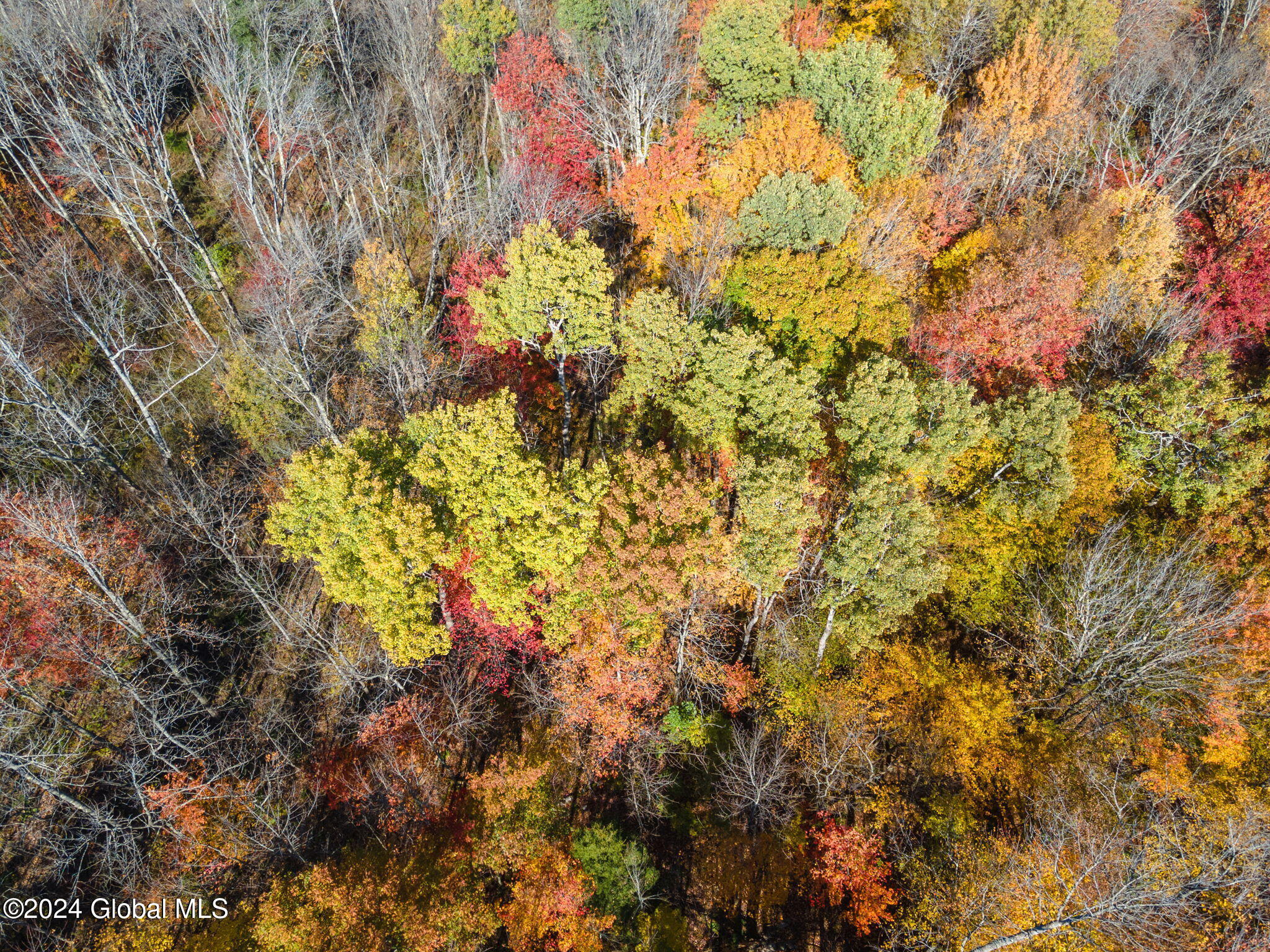 222 Sawyer Hollow Road, Summit, New York image 9