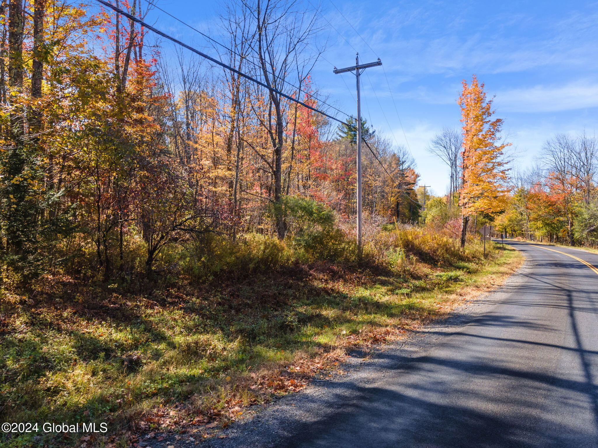 222 Sawyer Hollow Road, Summit, New York image 4