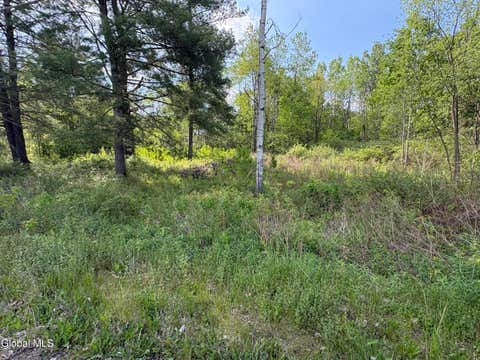 Vacant Land For Sale - L1 Griffin Avenue<br/> Hoosick Falls, NY 12090